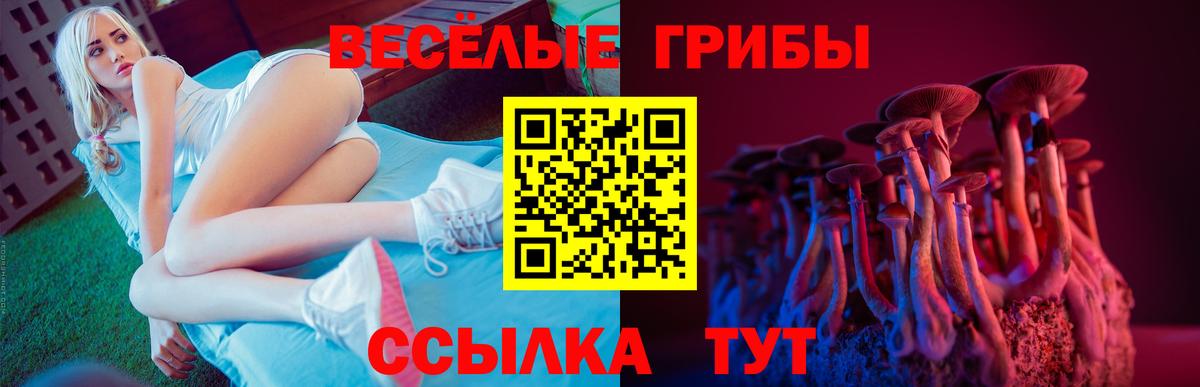 Псилоцибиновые грибы ЛСД  Вход с VPN  как найти наркотики  Петрозаводск  Псилоцибиновые грибы Magic Shrooms 